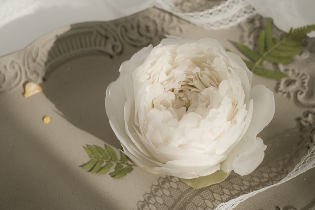 white peony 1