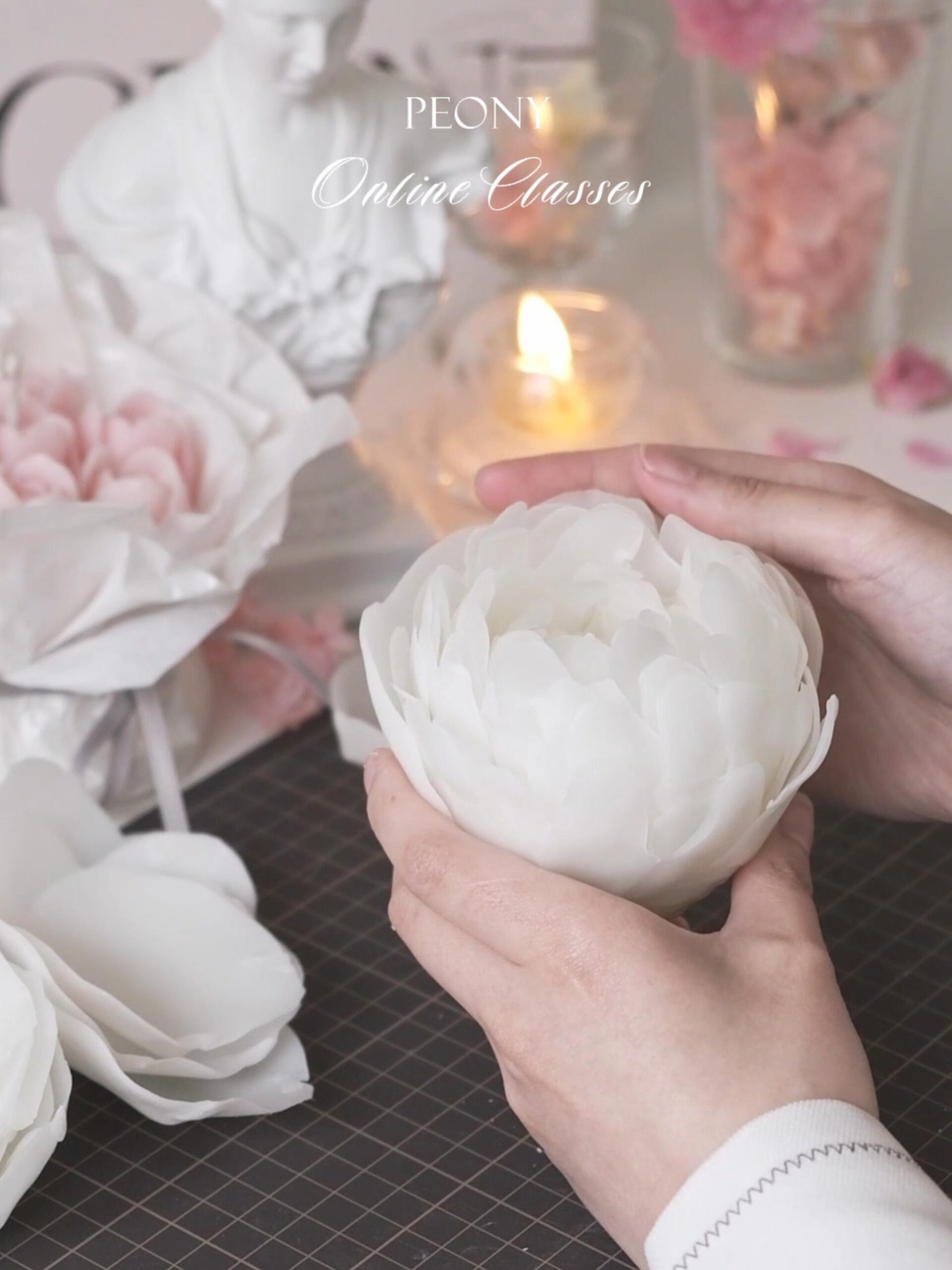 white peony 2