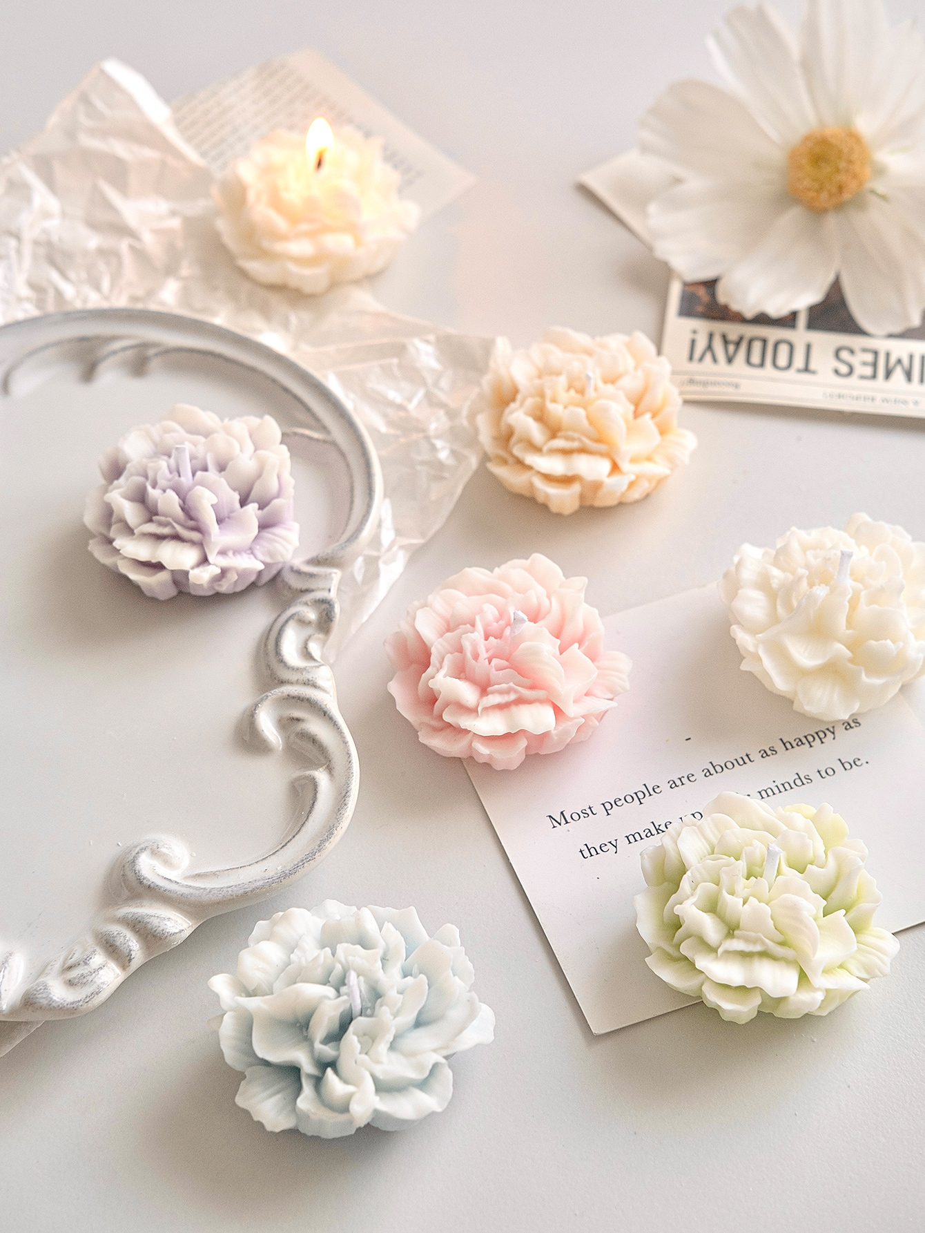 Carnation Carnation