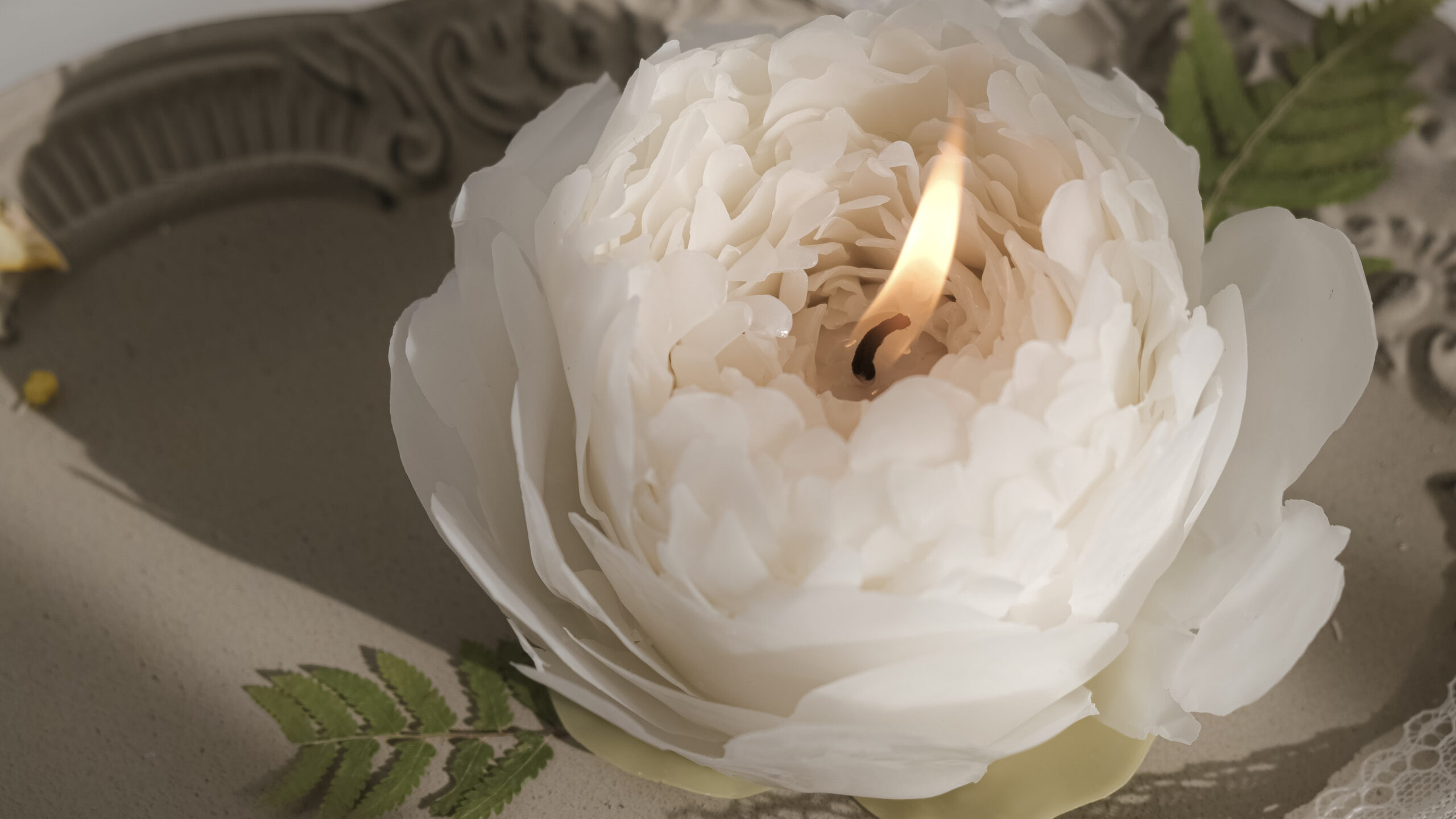white peony